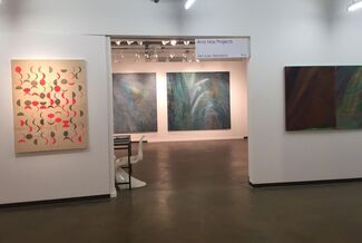 Ana Mas Projects at Dallas Art Fair 2016, installation view