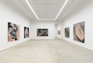 The Consensual Reality of Healing Fantasies, installation view