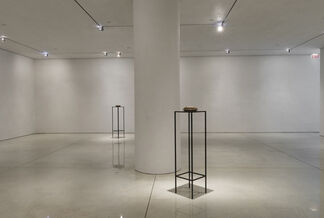 Zak Kitnick, installation view