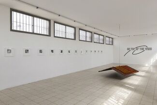 Placed Someplace with Intent, installation view