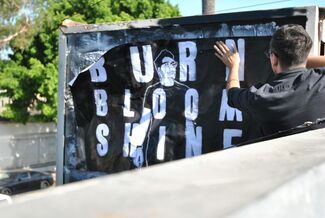 Morley: BURN BLOOM SHINE, installation view