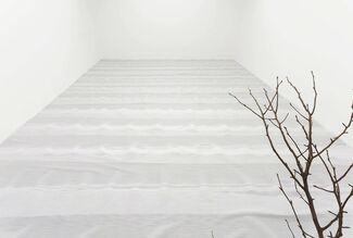 Temple of Candour, installation view