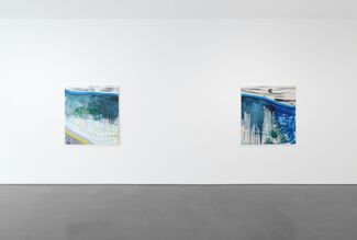 Monique van Genderen, installation view