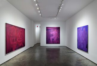 Leaking Visions of Red, installation view