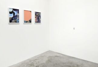 WENDY PLOVMAND | The Image that Paints this Canvas, installation view