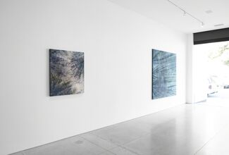 Cole Sternberg Solo Exhibition | the blue water was only a heavier and darker air, installation view