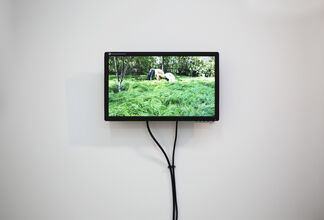 Force Majeure, installation view