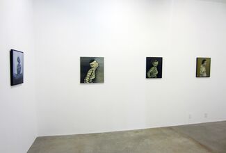 Patricia Clark: A Matter of Circumstances, installation view