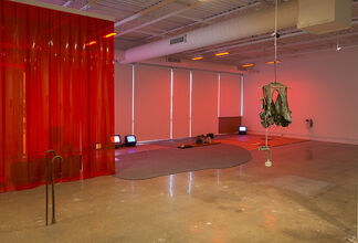 Rogue Objects | JJ PEET and Rob Rhee, installation view