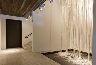 Pablo Boneu " Individuos , Multitudes y otras ilusiones", installation view