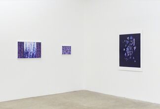 L.E. Kim: First Paintings, installation view