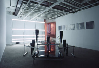 Muntean/Rosenblum, Guillaume Pinard, and Banks Violette - "The Ice Age", installation view