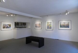 Luther Smith - Extraordinary / Ordinary, installation view