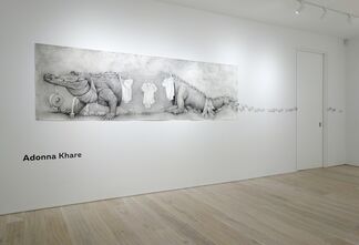 Adonna Khare, installation view
