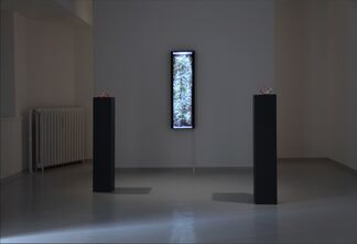 Georg Jagunov | Khlōra, installation view
