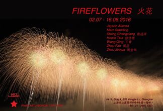 FIREFLOWERS 火花, installation view