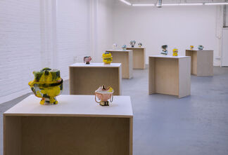 Kathy Butterly: Yellow Haze, installation view