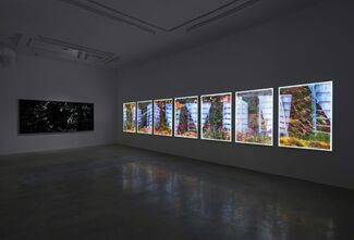 Matthew Brandt: Velvet and Bubble Wrap, installation view