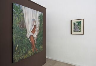 Alone In Spring, installation view