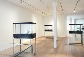 Sebastian Gordin | 'if animals didn't exist...', installation view