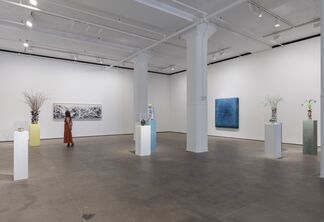 Abstract by Nature, installation view