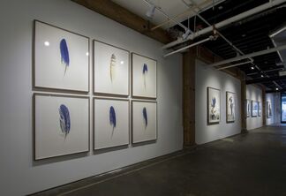 Eagle Hunters, installation view