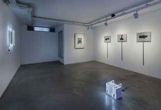 The Dormant Colony, installation view