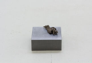 Jo Coupe 'All That Fall' / Joseph Beuys 'Wirtschaftswert', installation view