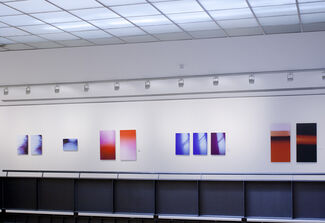 Esther Navarro, installation view