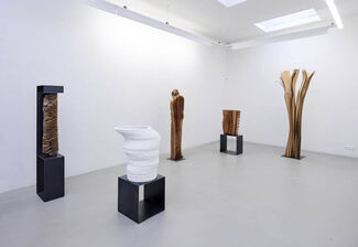 Herbert Golser - Formenwandel, installation view