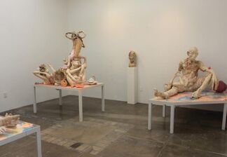 Meghan Smythe: Flesh For Fantasy, installation view