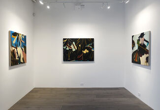 Kenichi Hoshine: The Magician and The Thief, installation view