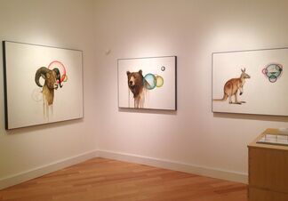 Kevin Earl Taylor: LUX, installation view