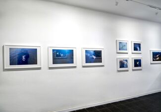 Drowning in Blue, installation view