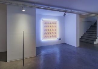 The Dormant Colony, installation view