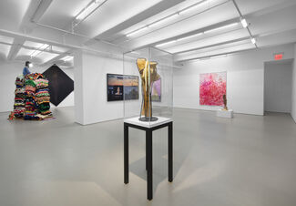 King of the Hill, installation view
