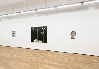 I Am Silver, installation view