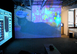 Cory Arcangel - "Welcome 2 my Artshow!!!!!!!!!", installation view