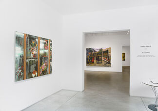 Charis Ammon: Stay, installation view