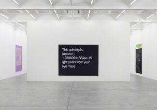 Michael Williams, installation view