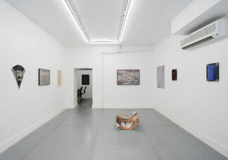 On Colored Shadows, installation view