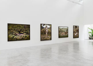 Marcelo Tinoco, installation view