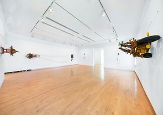 Kim Jones: White Crow, installation view