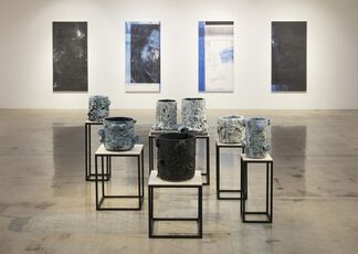 Double Vision, installation view