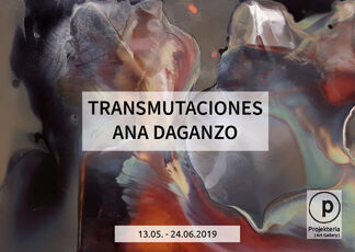 Transmutaciones - Ana Daganzo, installation view