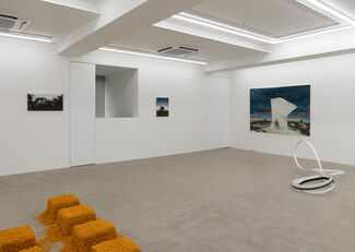 The axis, installation view