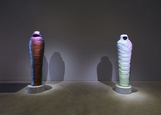 Standing on the Moon, installation view