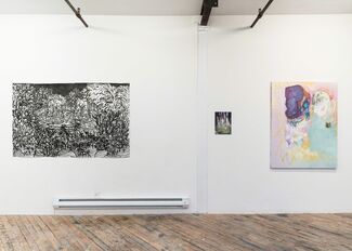 Over the Hills, installation view