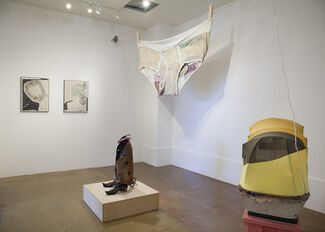 Riley O'Neill: Relax Shadeans, installation view