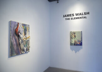 James Walsh: THE ELEMENTAL, installation view